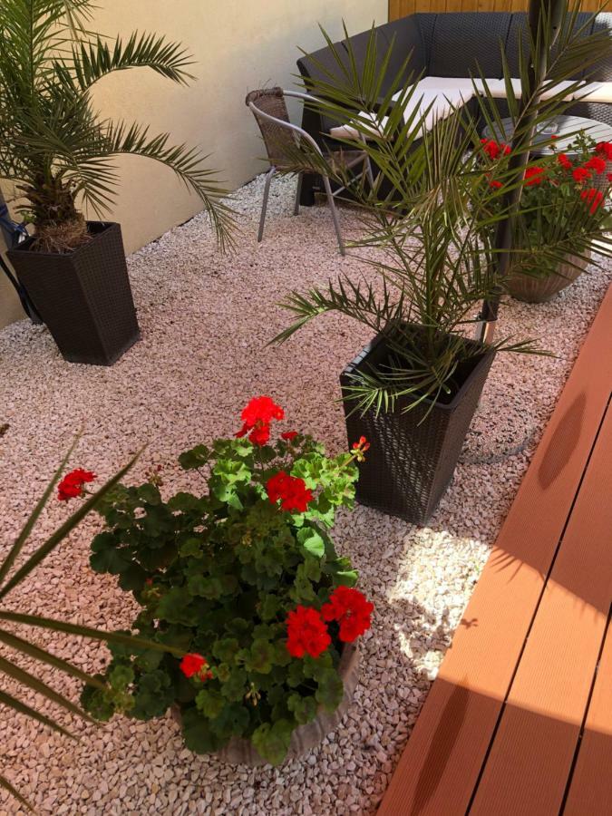 Mosoly Apartman セゲド エクステリア 写真